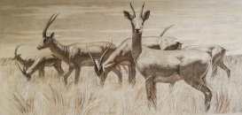 Косули. Интерьерная графика.